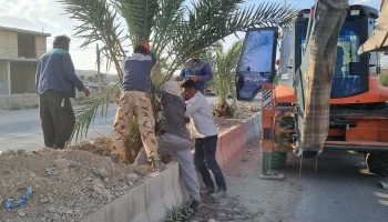 کاشت نخل در بلوار رستاق